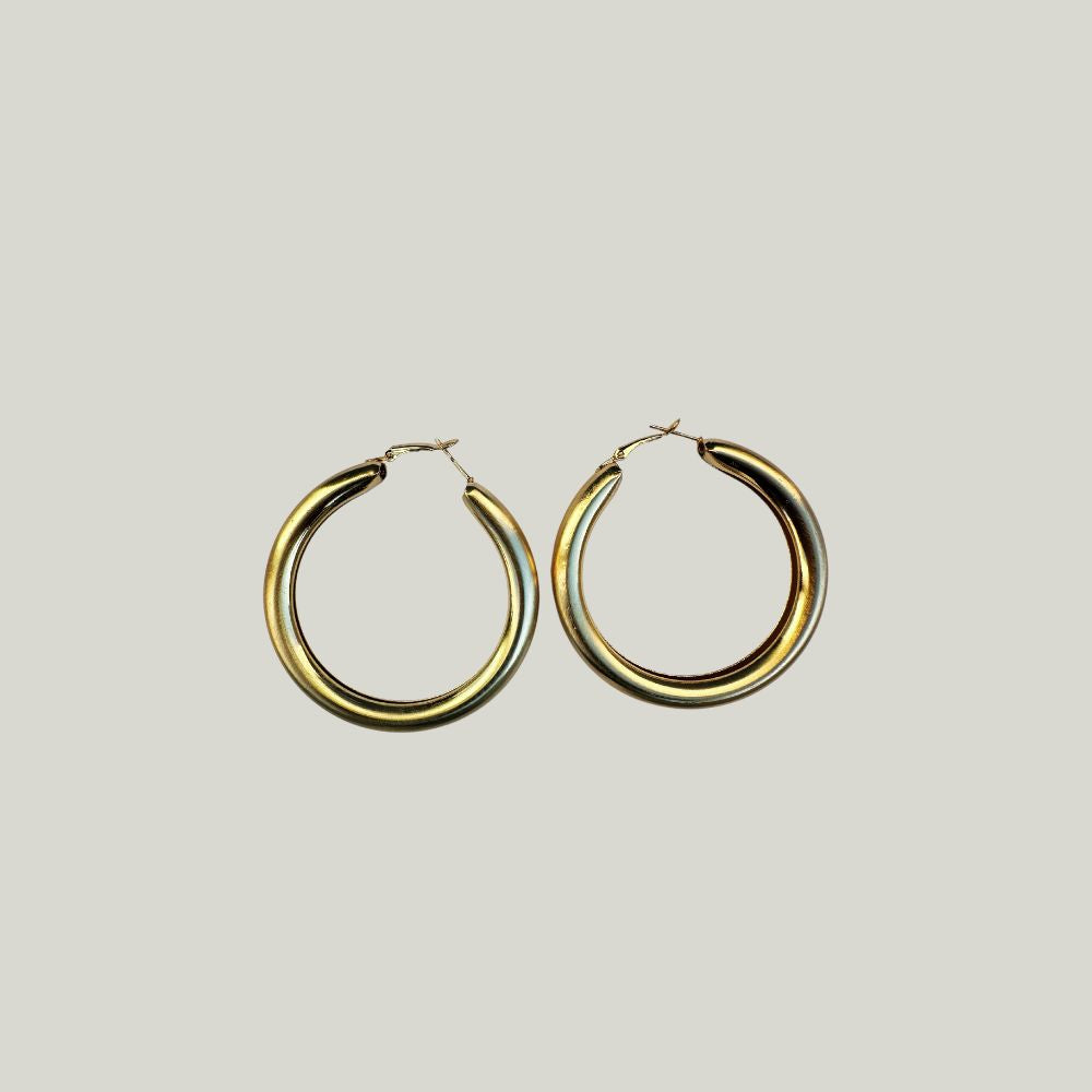 The Big Hoops Earrings